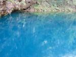 Here's why they call it Blue Spring